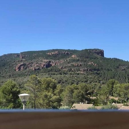Au Pied Des Gorges Du Blavet Et A 20Min Des Plages Roquebrune-sur Argens Esterno foto